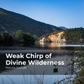 Weak Chirp of Divine Wilderness