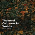 Theme of Calmness in Woods