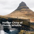 Hollow Chirp of Divine Wildlife