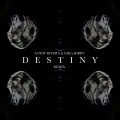 DESTINY (Remix)