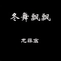 龙菲宏 - 冬舞飘飘