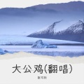 张可欣 - 大公鸡