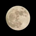 Trey Podwoski - Get You the Moon