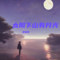 贾盛强 - 太阳下山有月光