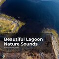 Beautiful Lagoon Nature Sounds