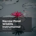 Narrow Pond Wildlife Instrumental