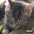 Tier - Answers (Explicit)