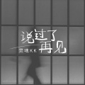 说过了再见 (DJ默涵版)