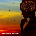 Bird Sounds for ADHD