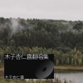 木子杏仁露 - 醉飞霜