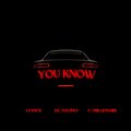 You Know (feat. DC Davinci & C-Trillionaire) [Explicit]