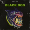 Black Dog