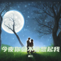 今夜你会不会想起我