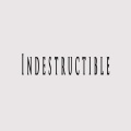 Indestructible (feat. StuBeatZ)