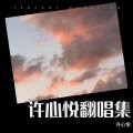 许心悦 - 爱的回归线