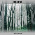 Denebros Select 2023