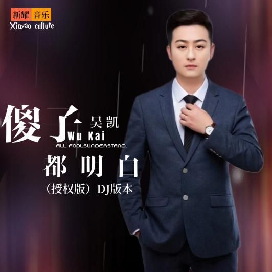 吴坑 - 傻子都明白 (降噪版声调)