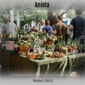 Aniela Select 2023