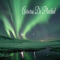 Calmar la Ansiedad、Outdoor Field Recorders、Chakra Balancing Sound Therapy、Esther Montero - Purificar Mente