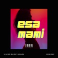 DJ Davion、Bull Beats、manu rg - Esa Mami (House)(Remix)