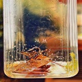 黄恺、温浩然 - 孤独