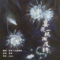 昙花一现雨及时