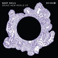 Bart Skils - New Ground
