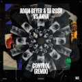 Control (Remix)