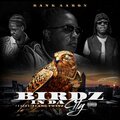 Bank Aaron、AMG Twinz - BIRDZ IN DA CITY (feat. AMG TWINZ)(Explicit)
