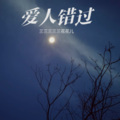 三三三三三花花儿 - 爱人错过