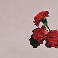 Camelia_junjun - All of Me