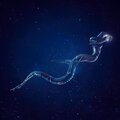 Hydra: The Water Snake