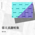 蓉天真 - 迷茫的爱