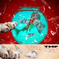 TMF - Quick Fast (Explicit)