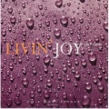 Livin' Joy - Dreamer (Radio Mix)
