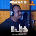 Pokappaattu