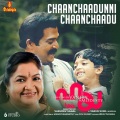 Chaanchaadunni Chaanchaadu