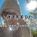 冲破 - 迷途羔羊 (DJ版)