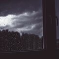 pulsingwave - summer rain
