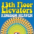 13th Floor Elevators - Don't Fall Down (Live)