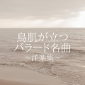 LOVE BGM JPN - Dusk Till Dawn