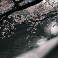 雨后初霁