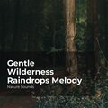 Gentle Wilderness Raindrops Melody