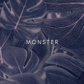 NVMEX - Monster