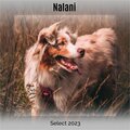 Nalani Select 2023