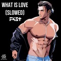 F4ST - What Is Love (Slowed)