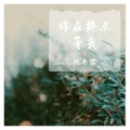 陈冬霖 - 我知道,你在终点等我