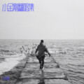 金刚 - 最幸福的人