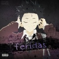 Feridas