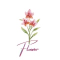 Helly、Cold citru$、Anon - Flower (feat. AnoN & HELLY)